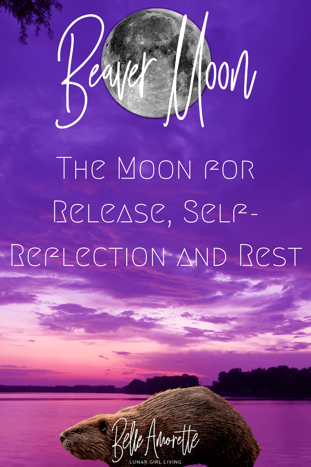 NOVEMBER BEAVER MOON The Moon To Rest, Reflect and Heal