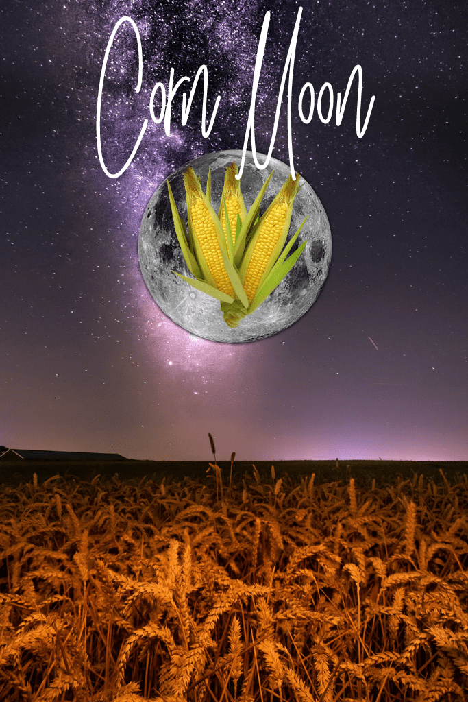 Corn Full Moon under a field of barley